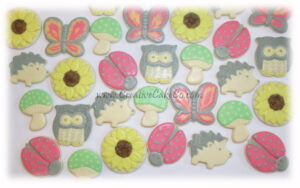 Woodland Baby Shower Cookies